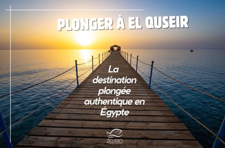 Plonger à El Quseir : la destination plongée authentique en Egypte