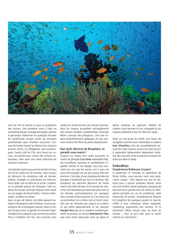 NEREUS-2026-2-34-37_page-0002