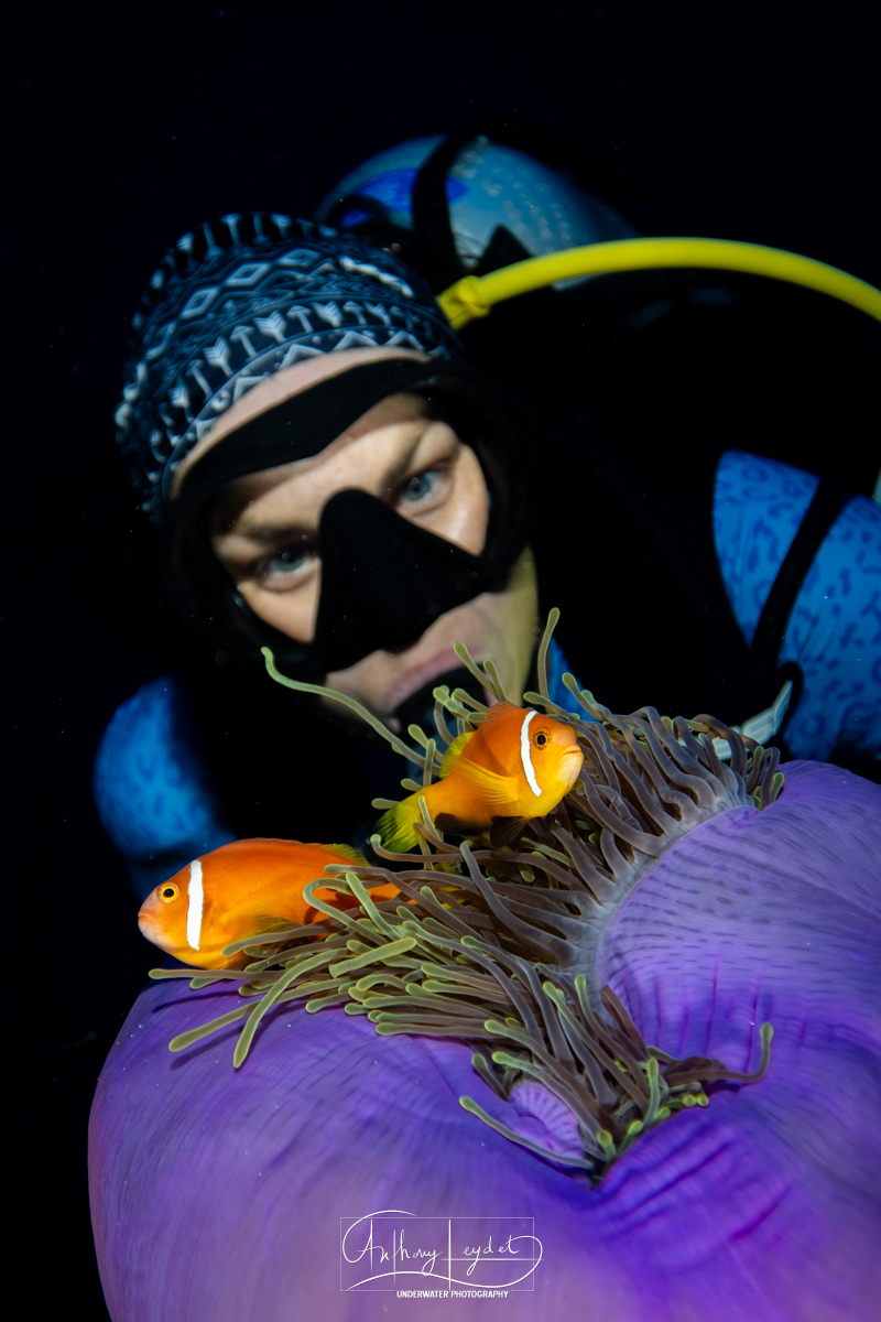 Clown-fish-woman