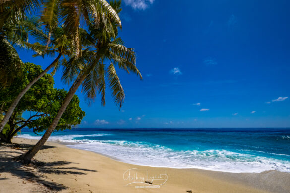 Thoondu-Beach-Fuvahmulah-03