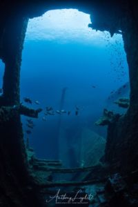 Les sars sur le Chaouen
