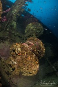 Epave Le Chaouen à Marseille - Chaouen wreck in Marseille