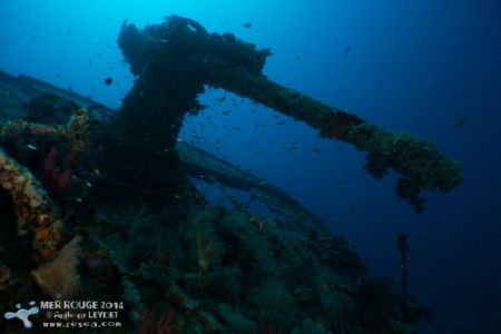 Le canon du Thistlegorm
