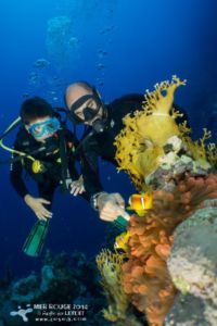 Découverte de la faune