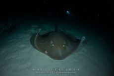 Alimathaa - Maldives