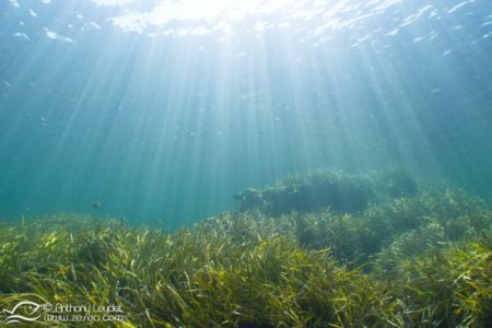 G5X et lentille GWAL18