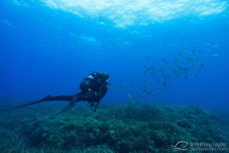 G5X et lentille GWAL18