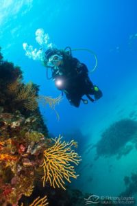 G5X et lentille GWAL18