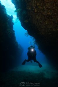 G5X et lentille GWAL18