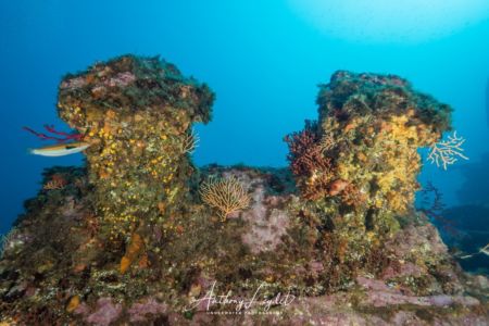 Structure du Liban dans le Parc National de Marseille