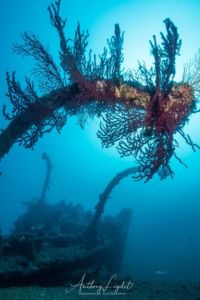 Bossoir et proue de l'épave du Liban