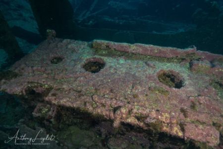 Cuisine de l'épave du Liban à Marseille