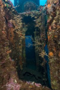 Coursive de l'épave du Liban