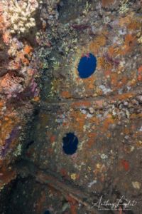 La poupe de l'épave du Liban (Parc National des Calanques)