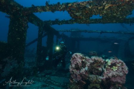 Structures metalliques de l'épave du Liban à Marseille