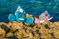 Les mérous en peluches des Peluches de Marius