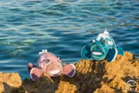 Les mérous en peluches des Peluches de Marius